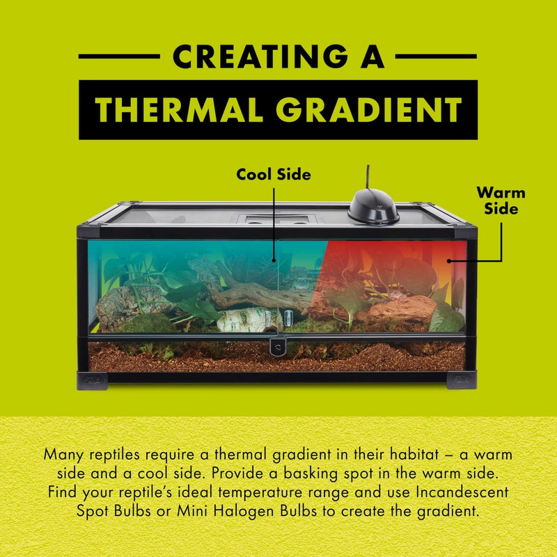 Zilla Reptile Terrarium Incandescent Heat Spot Bulb, Night Red, 150 Watts - Image 5